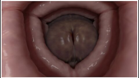 Double Trouble Giantess Edit (futanari, Pov, Fleshlight Insertion)